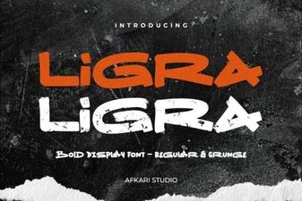 Ligra Font: Designing Elegant Modern Interfaces