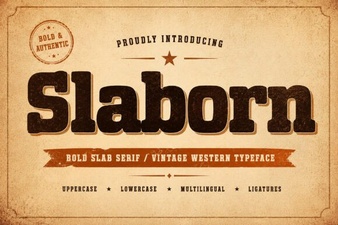 Slaborn Font: Modern Typeface for Web Design Projects